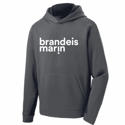 BRANDEIS BI COLOR HOODIE