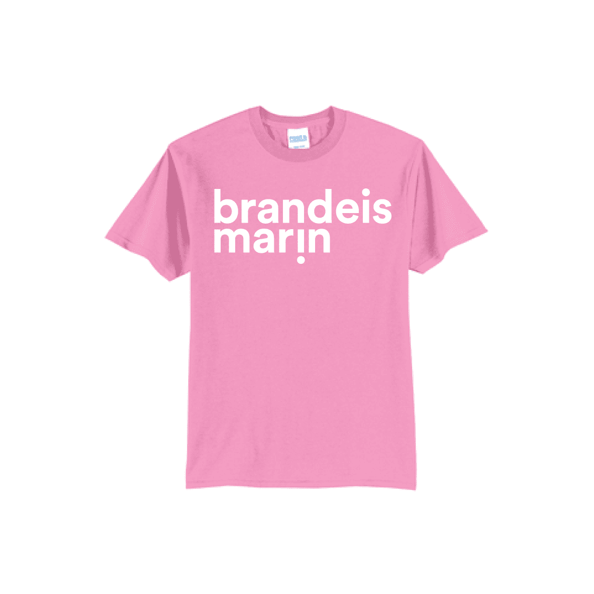 BRANDEIS TODDLER TEE