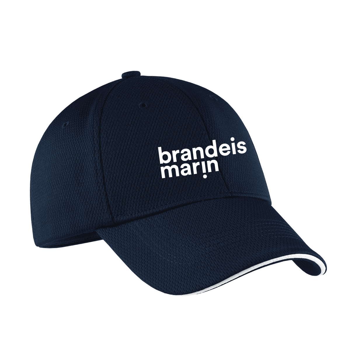Nike Dri-FIT Stretch Mesh Sandwich Bill Cap